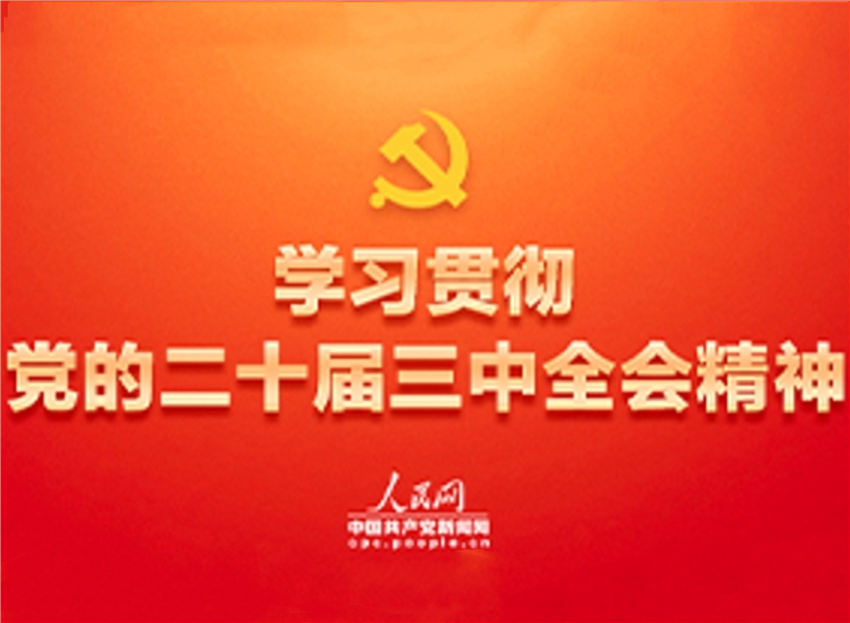 学习贯彻党的二十届三中全会精神